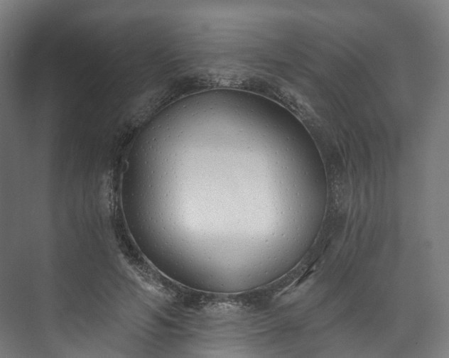 X0000073480594200608071023