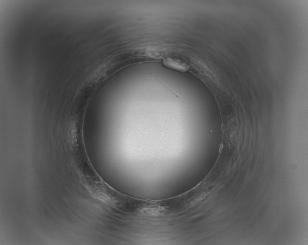 X0000073480595200608071023