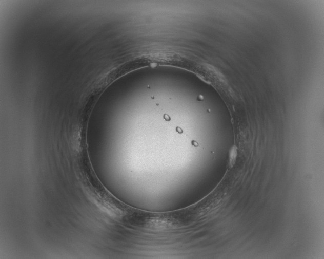 X0000073480596200608071023