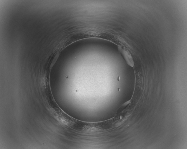 X0000073480597200608071023