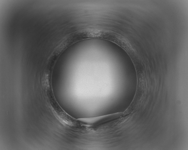 X0000073480598200608071023