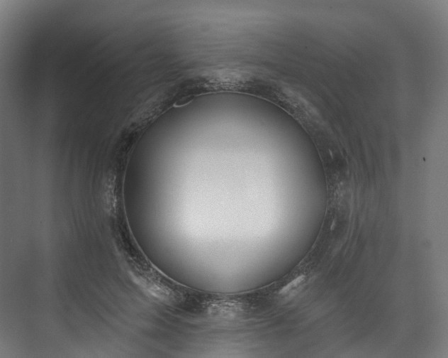 X0000073480599200608071023