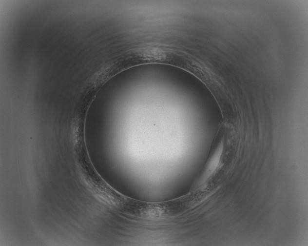 X0000073480600200608071023