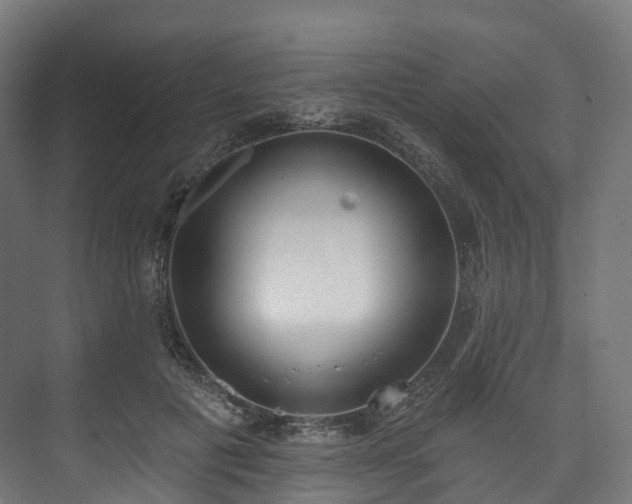 X0000073480601200608071023