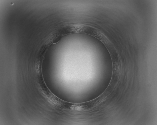 X0000073480602200608071023