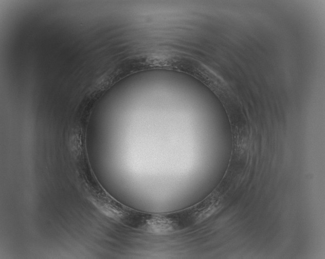 X0000073480603200608071023