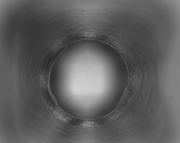 X0000073480609200608071023