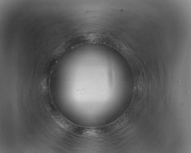 X0000073480611200608071022