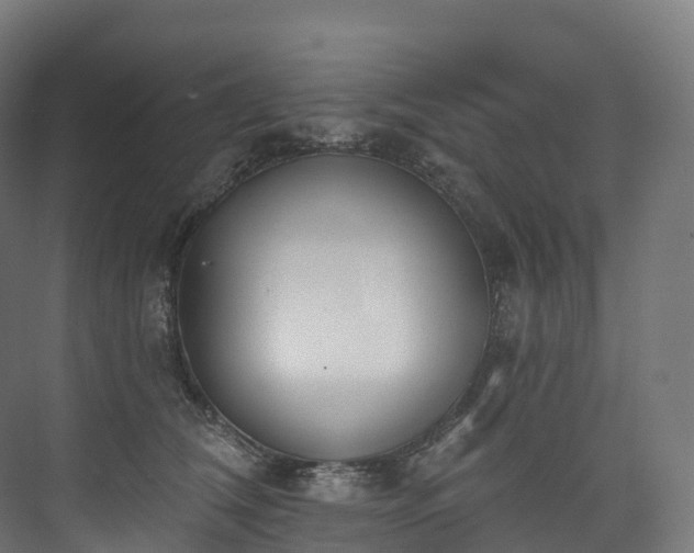 X0000073480612200608071022