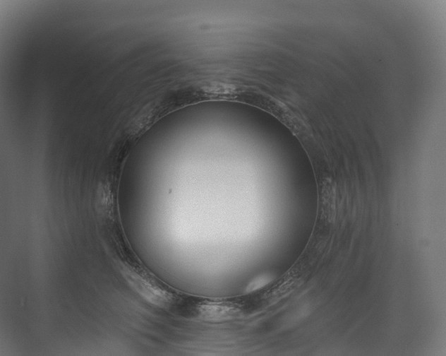 X0000073480614200608071022