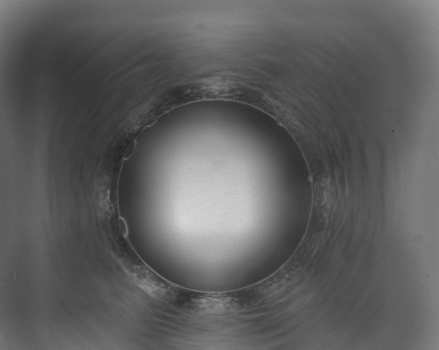 X0000073480615200608071022