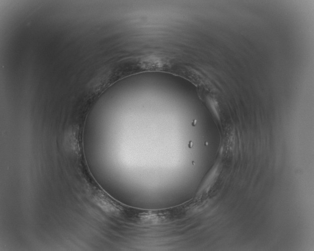 X0000073480616200608071022