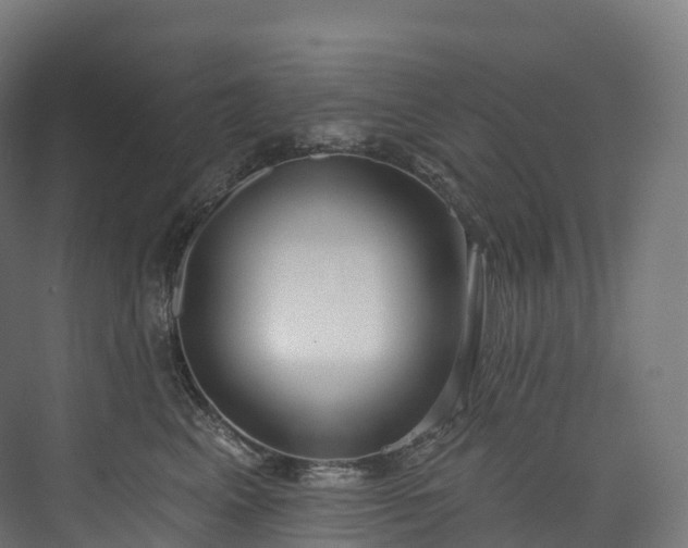 X0000073480617200608071022