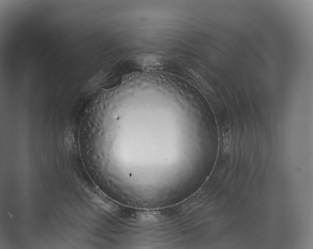 X0000073480618200608071022