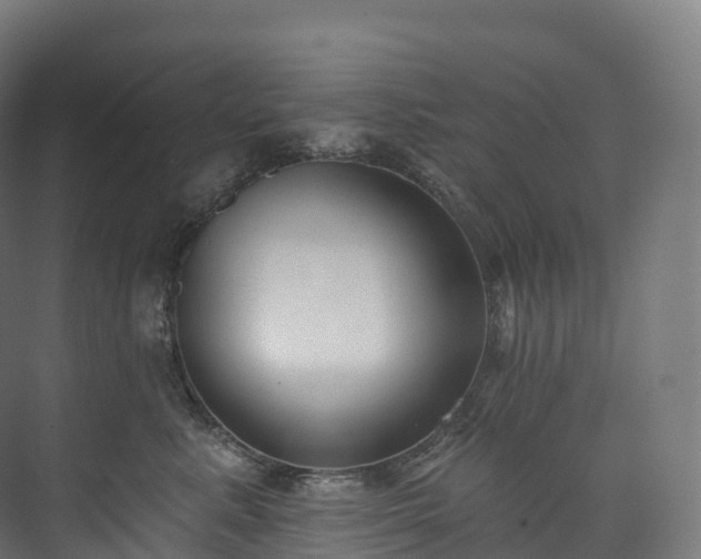 X0000073480619200608071022