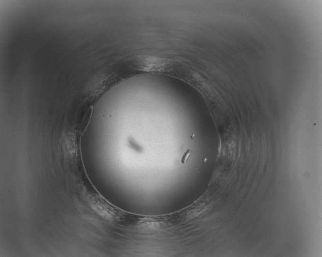 X0000073480620200608071022