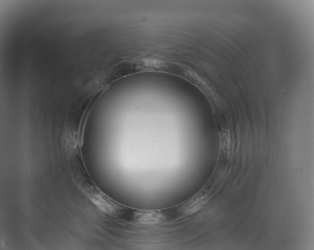 X0000073480621200608071022