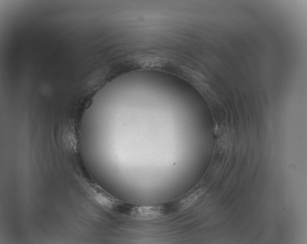 X0000073480622200608071022