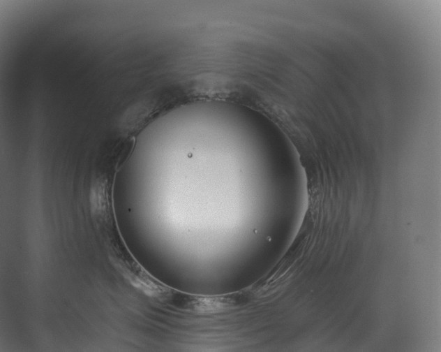 X0000073480623200608071022