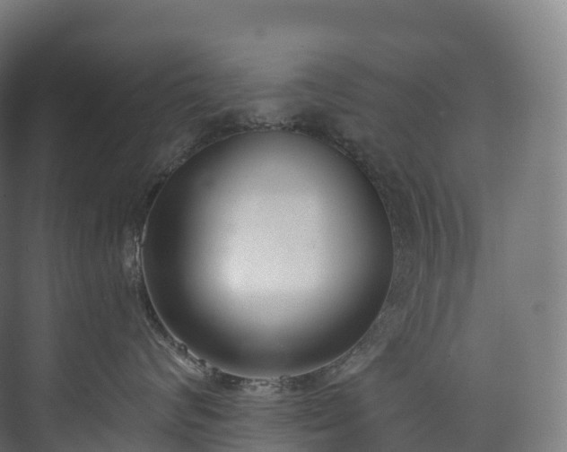 X0000073480624200608071022