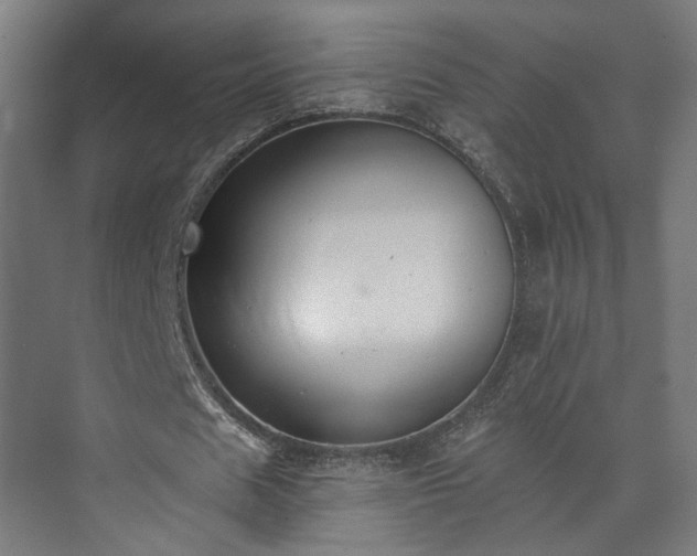 X0000073480625200608071021