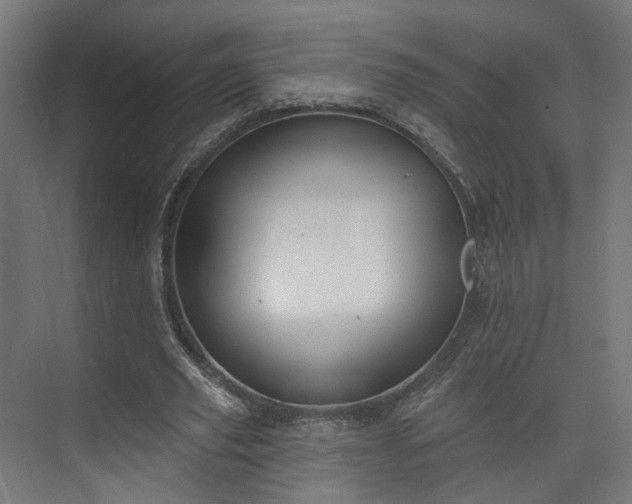 X0000073480629200608071022