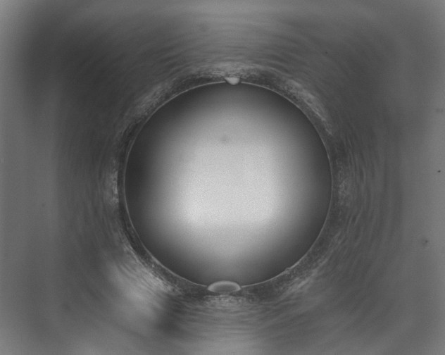 X0000073480633200608071022