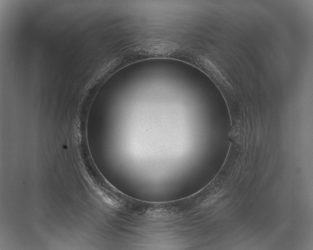 X0000073480634200608071022