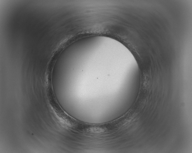 X0000073480636200608071022