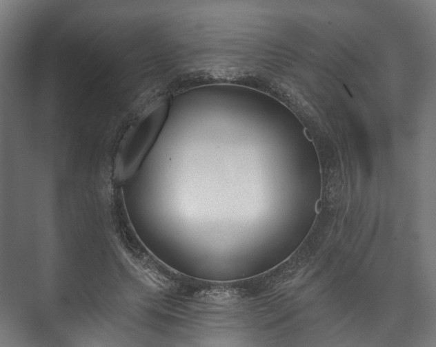 X0000073480639200608071022