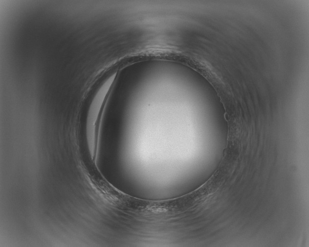 X0000073480640200608071022