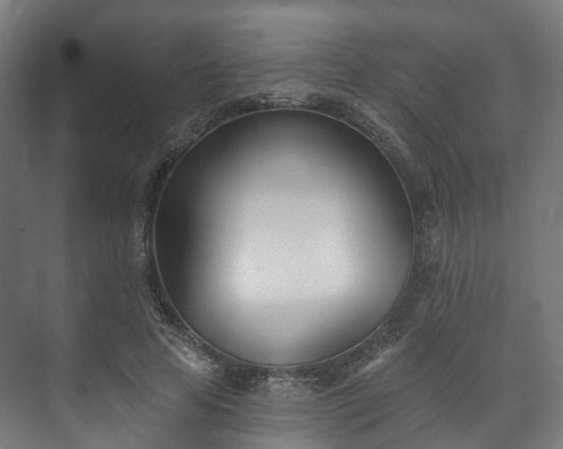 X0000073480641200608071022