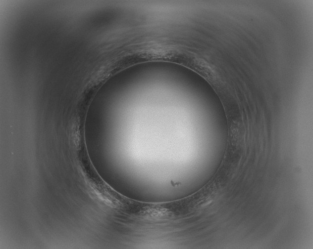 X0000073480642200608071022