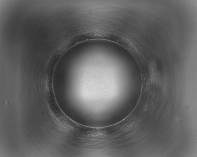 X0000073480643200608071022