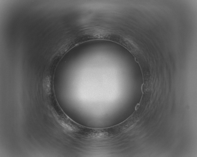 X0000073480646200608071022