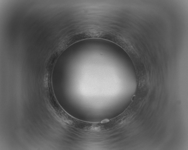 X0000073480647200608071022