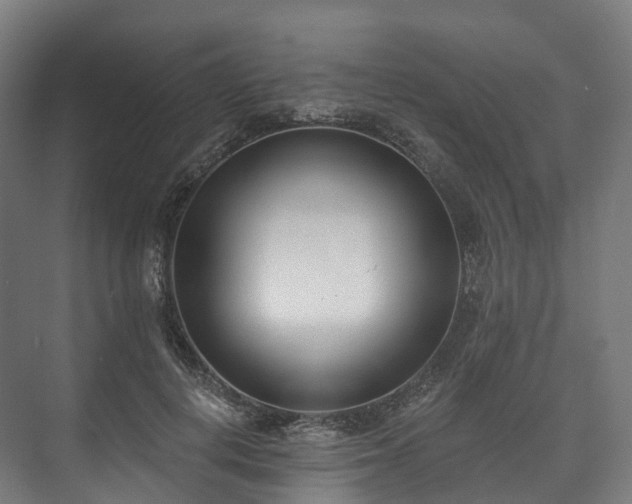 X0000073480648200608071022