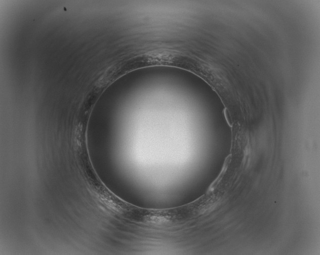 X0000073480649200608071022