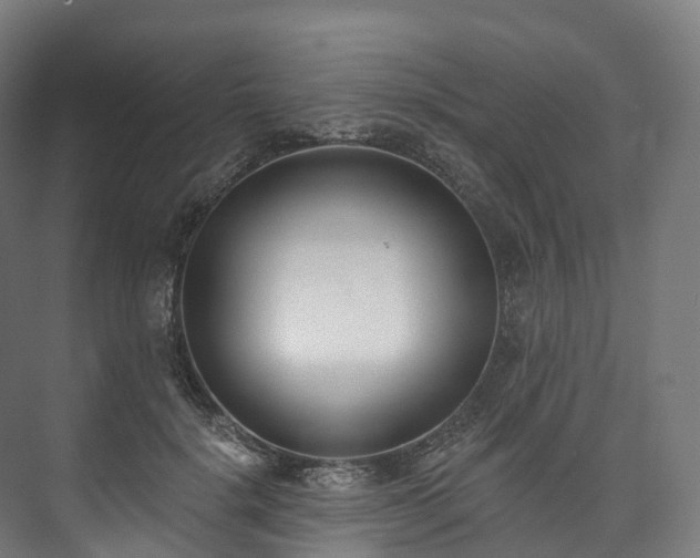 X0000073480652200608071022