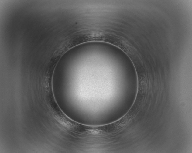 X0000073480654200608071022