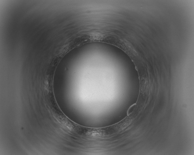 X0000073480655200608071022