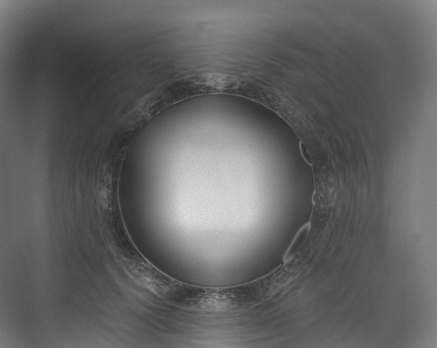 X0000073480656200608071022