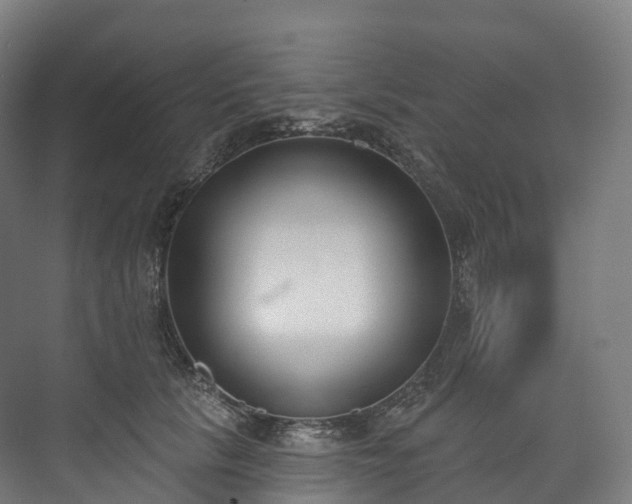 X0000073480657200608071022