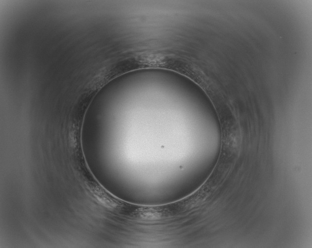 X0000073480658200608071022