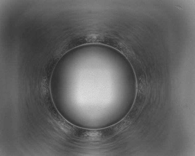 X0000073480659200608071022