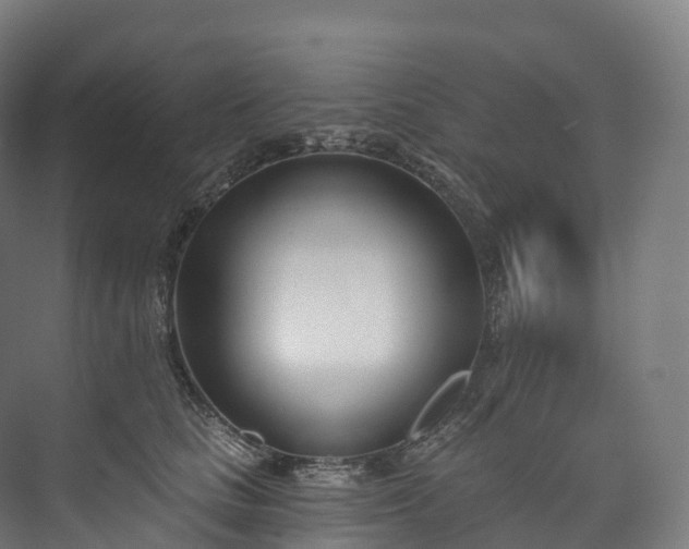 X0000073480661200608071022