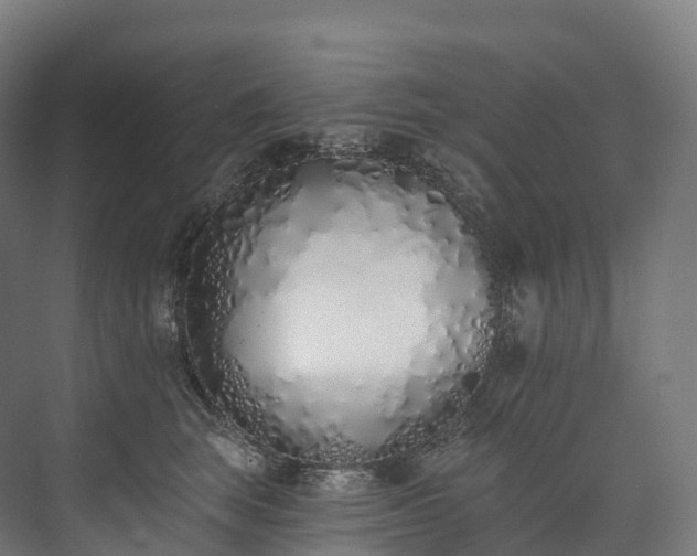 X0000073480663200608071022