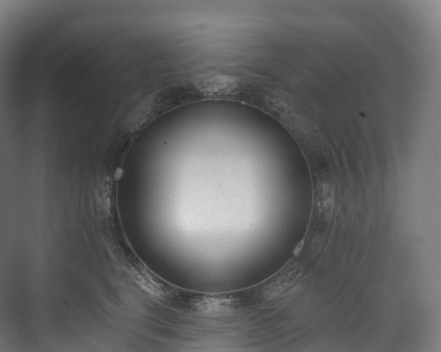 X0000073480664200608071022