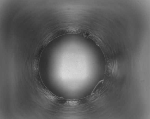 X0000073480665200608071022