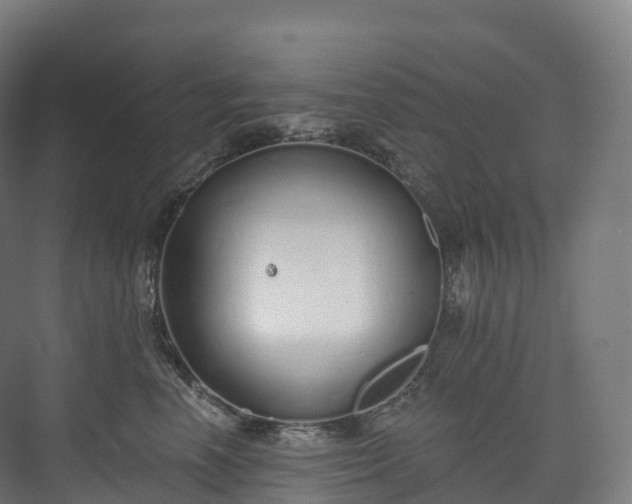 X0000073480666200608071022